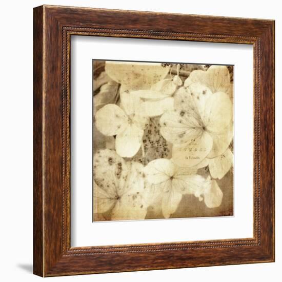 Hydrangeas 1-Dawne Polis-Framed Giclee Print