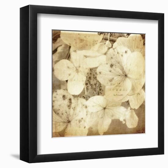 Hydrangeas 1-Dawne Polis-Framed Giclee Print