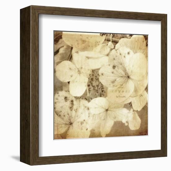 Hydrangeas 1-Dawne Polis-Framed Giclee Print