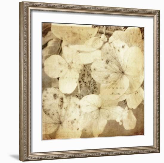 Hydrangeas 1-Dawne Polis-Framed Giclee Print