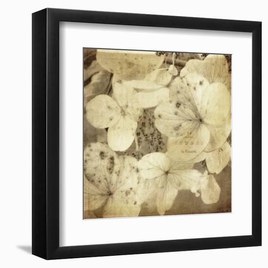 Hydrangeas 1-Dawne Polis-Framed Art Print