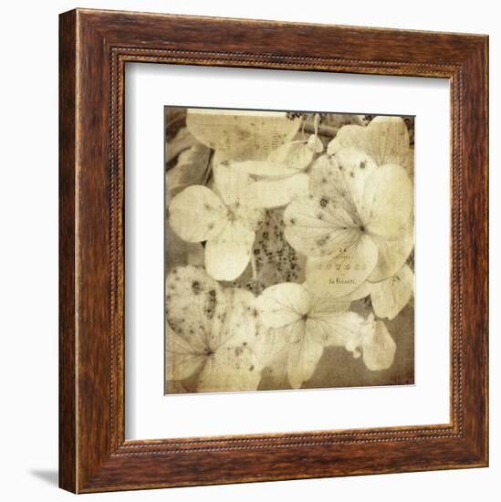 Hydrangeas 1-Dawne Polis-Framed Art Print