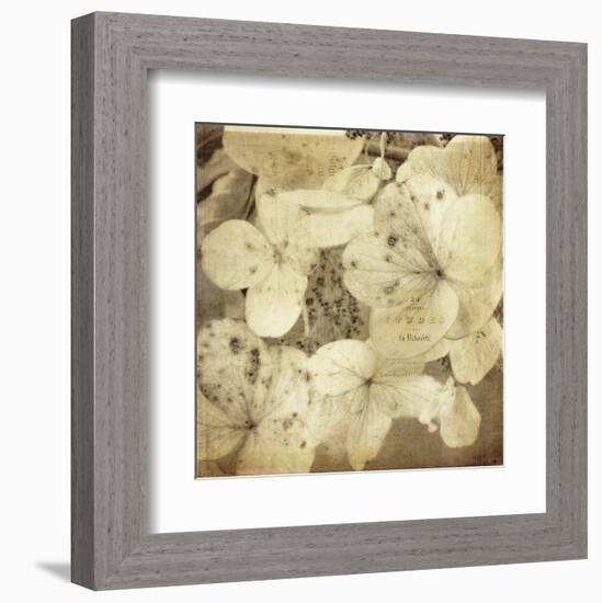 Hydrangeas 1-Dawne Polis-Framed Art Print