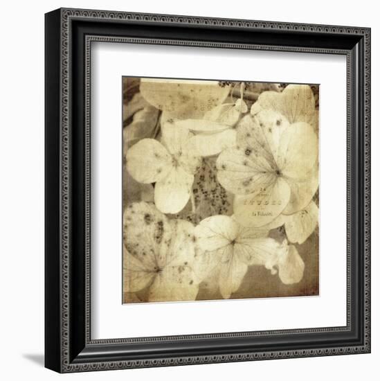 Hydrangeas 1-Dawne Polis-Framed Art Print