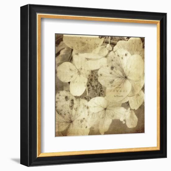 Hydrangeas 1-Dawne Polis-Framed Art Print