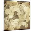 Hydrangeas 1-Dawne Polis-Mounted Art Print