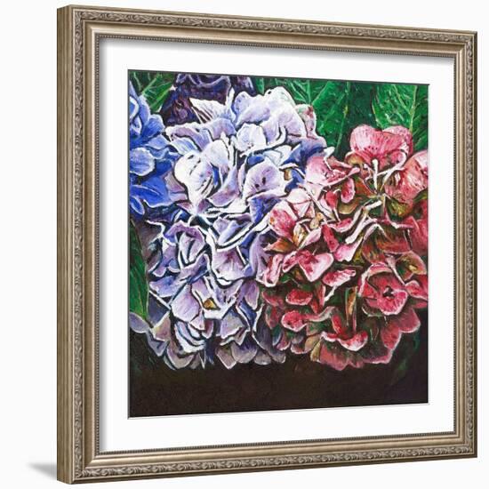 Hydrangeas, 2010-Helen White-Framed Giclee Print