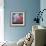 Hydrangeas, 2010-Helen White-Framed Giclee Print displayed on a wall