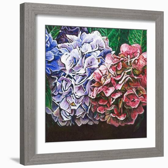 Hydrangeas, 2010-Helen White-Framed Giclee Print