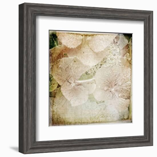 Hydrangeas 4-Dawne Polis-Framed Giclee Print