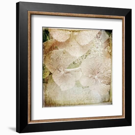 Hydrangeas 4-Dawne Polis-Framed Giclee Print