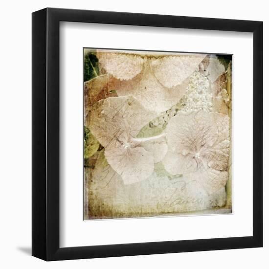 Hydrangeas 4-Dawne Polis-Framed Giclee Print