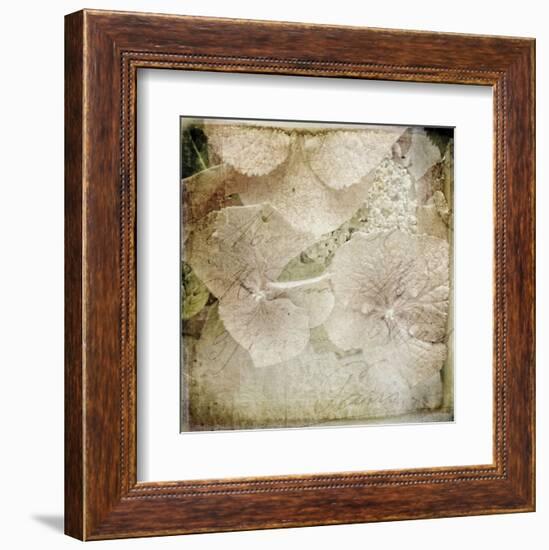 Hydrangeas 4-Dawne Polis-Framed Art Print