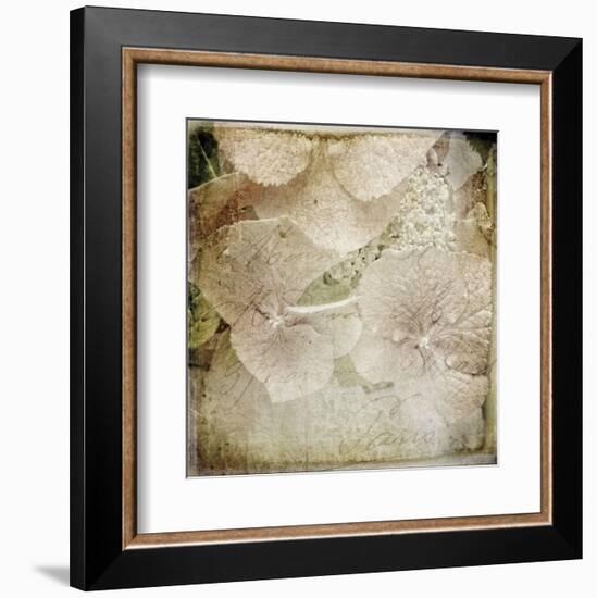 Hydrangeas 4-Dawne Polis-Framed Art Print