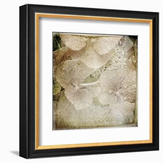 Hydrangeas 4-Dawne Polis-Framed Art Print