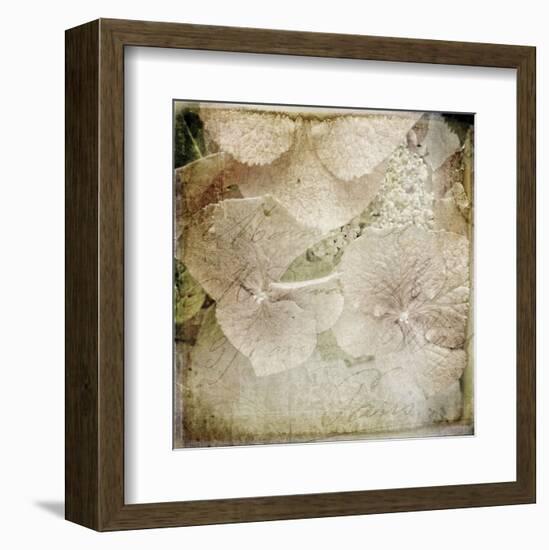 Hydrangeas 4-Dawne Polis-Framed Art Print