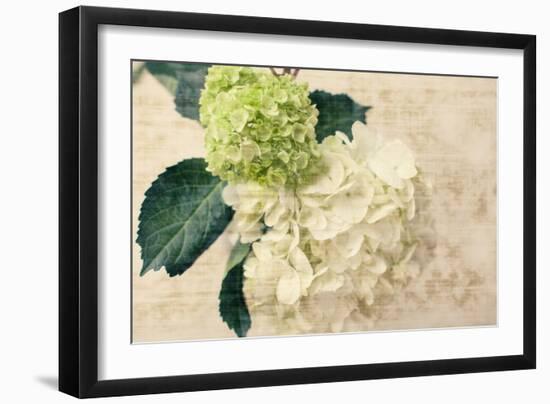 Hydrangeas I-Susan Bryant-Framed Photo