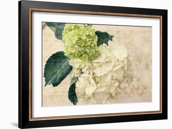 Hydrangeas I-Susan Bryant-Framed Photo