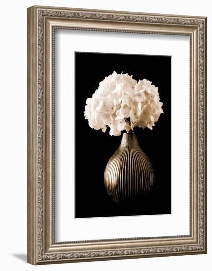 Hydrangeas in A Vase-Christine Zalewski-Framed Art Print