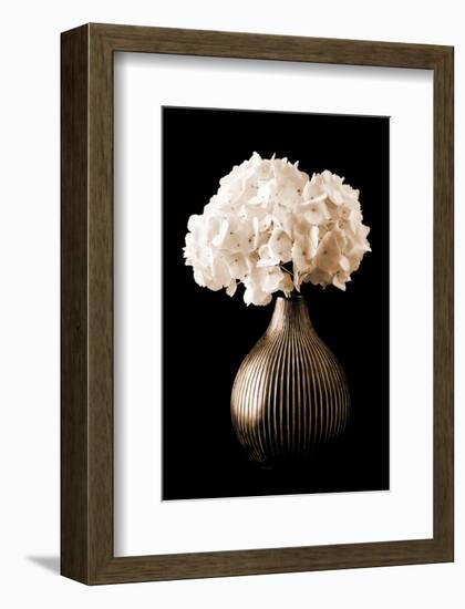 Hydrangeas in A Vase-Christine Zalewski-Framed Art Print