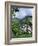 Hydrangeas in Bloom, Island of Sao Miguel, Azores, Portugal-David Lomax-Framed Photographic Print