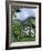 Hydrangeas in Bloom, Island of Sao Miguel, Azores, Portugal-David Lomax-Framed Photographic Print