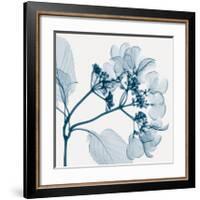 Hydrangeas - Positive (Left)-Steven N^ Meyers-Framed Giclee Print