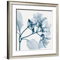 Hydrangeas - Positive (Left)-Steven N^ Meyers-Framed Giclee Print