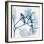 Hydrangeas - Positive (Left)-Steven N^ Meyers-Framed Giclee Print
