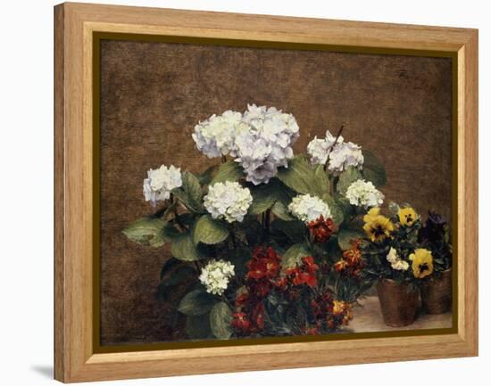 Hydrangeas, Wallflowers and Two Pots of Pansies, 1879-Henri Fantin-Latour-Framed Premier Image Canvas