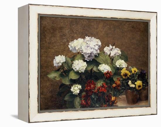 Hydrangeas, Wallflowers and Two Pots of Pansies, 1879-Henri Fantin-Latour-Framed Premier Image Canvas