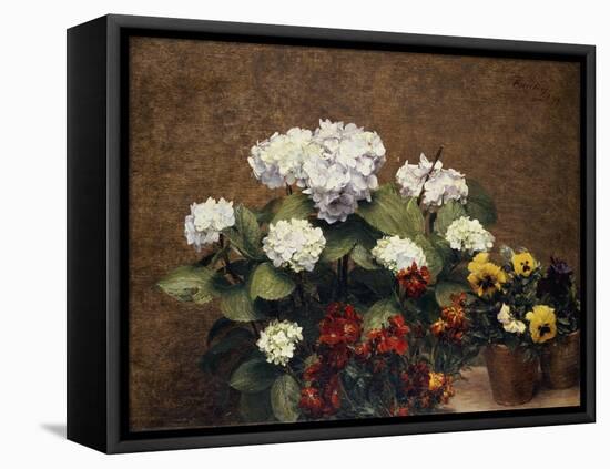 Hydrangeas, Wallflowers and Two Pots of Pansies, 1879-Henri Fantin-Latour-Framed Premier Image Canvas