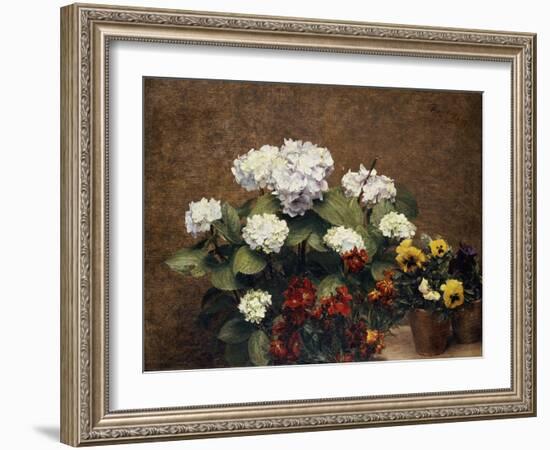 Hydrangeas, Wallflowers and Two Pots of Pansies, 1879-Henri Fantin-Latour-Framed Giclee Print