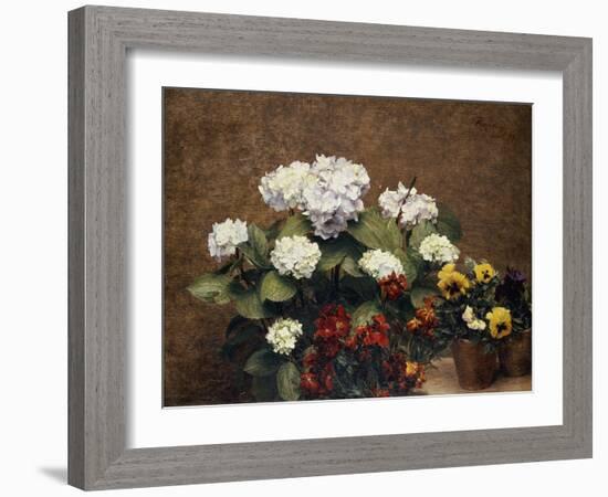 Hydrangeas, Wallflowers and Two Pots of Pansies, 1879-Henri Fantin-Latour-Framed Giclee Print