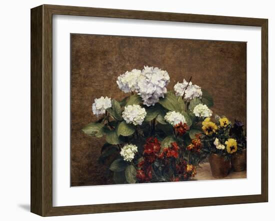 Hydrangeas, Wallflowers and Two Pots of Pansies, 1879-Henri Fantin-Latour-Framed Giclee Print