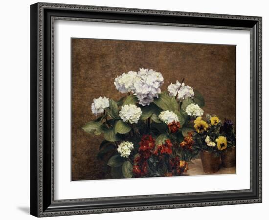 Hydrangeas, Wallflowers and Two Pots of Pansies, 1879-Henri Fantin-Latour-Framed Giclee Print