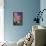 Hydrangeas with American Flag, Block Island, Rhode Island, USA-Cindy Miller Hopkins-Framed Premier Image Canvas displayed on a wall