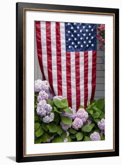 Hydrangeas with American Flag, Block Island, Rhode Island, USA-Cindy Miller Hopkins-Framed Photographic Print