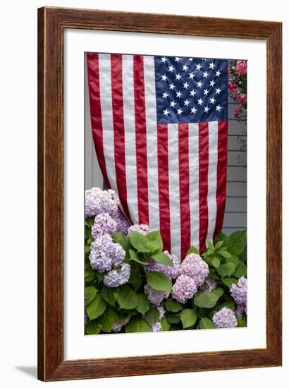 Hydrangeas with American Flag, Block Island, Rhode Island, USA-Cindy Miller Hopkins-Framed Photographic Print