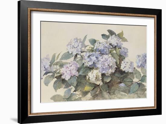 Hydrangeas-Madeleine Lemaire-Framed Art Print