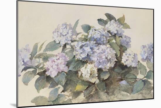 Hydrangeas-Madeleine Lemaire-Mounted Art Print