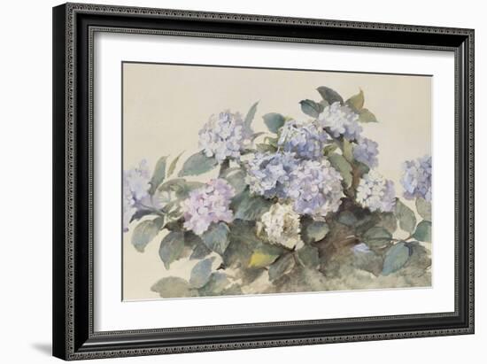 Hydrangeas-Madeleine Lemaire-Framed Art Print