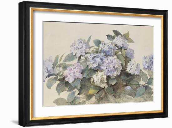 Hydrangeas-Madeleine Lemaire-Framed Art Print