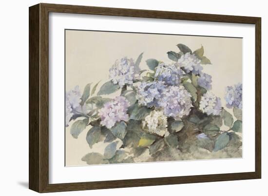 Hydrangeas-Madeleine Lemaire-Framed Premium Giclee Print