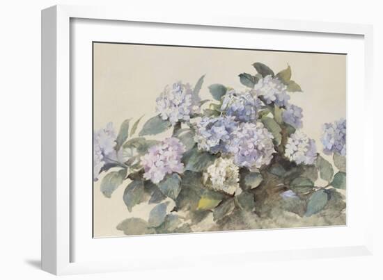 Hydrangeas-Madeleine Lemaire-Framed Premium Giclee Print