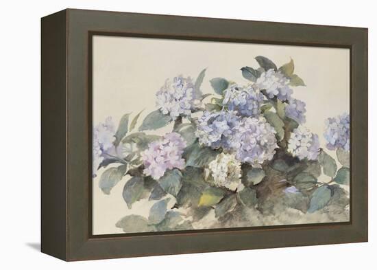 Hydrangeas-Madeleine Lemaire-Framed Stretched Canvas