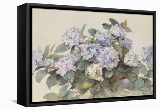 Hydrangeas-Madeleine Lemaire-Framed Stretched Canvas