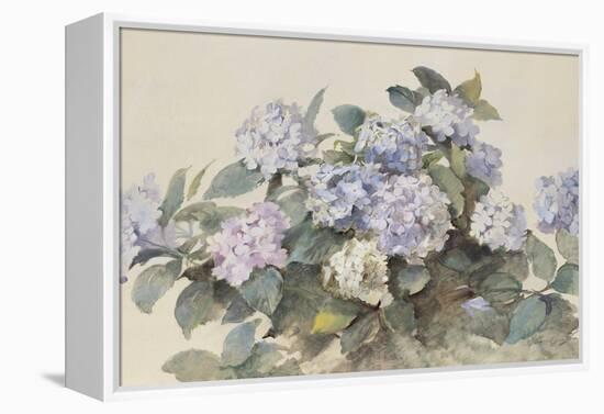 Hydrangeas-Madeleine Lemaire-Framed Stretched Canvas