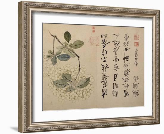 Hydrangeas-Yun Shouping-Framed Giclee Print