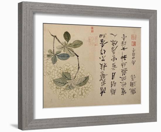 Hydrangeas-Yun Shouping-Framed Giclee Print